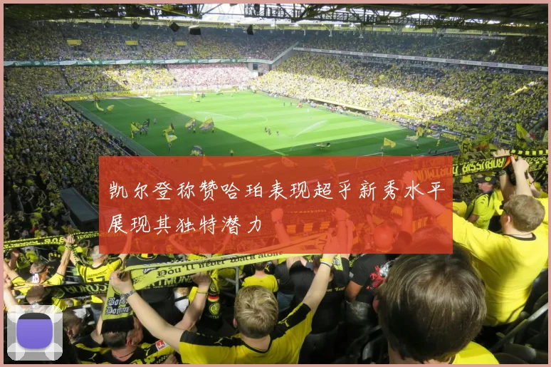 凯尔登称赞哈珀表现超乎新秀水平展现其独特潜力
